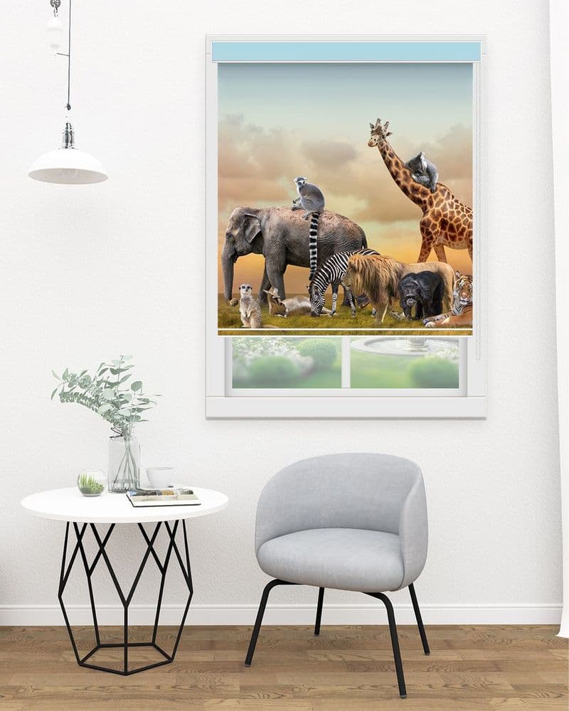Safari Family view 1