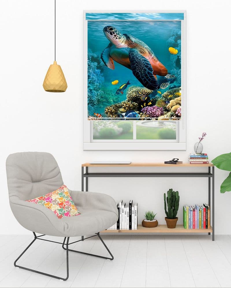 Coral Turtle Reef view 1
