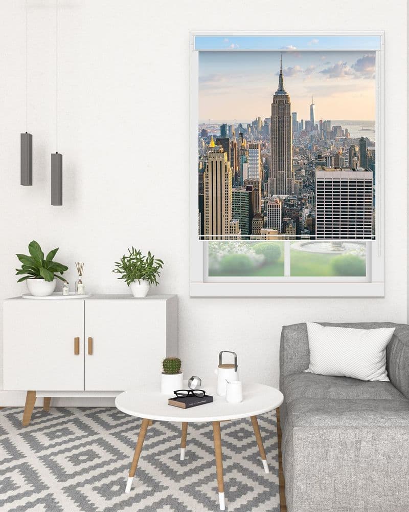 Manhattan Skyline view 1
