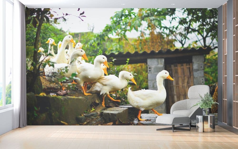 Waterfowl Garden view 1