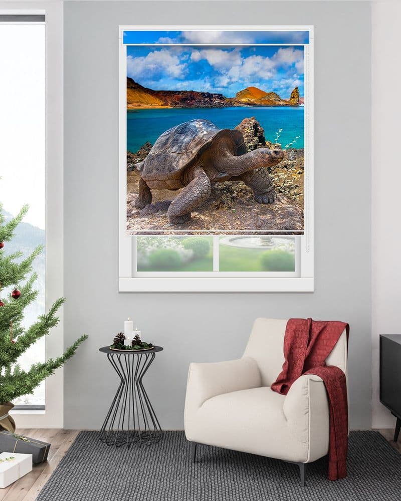 Turtle Island Shore view 1