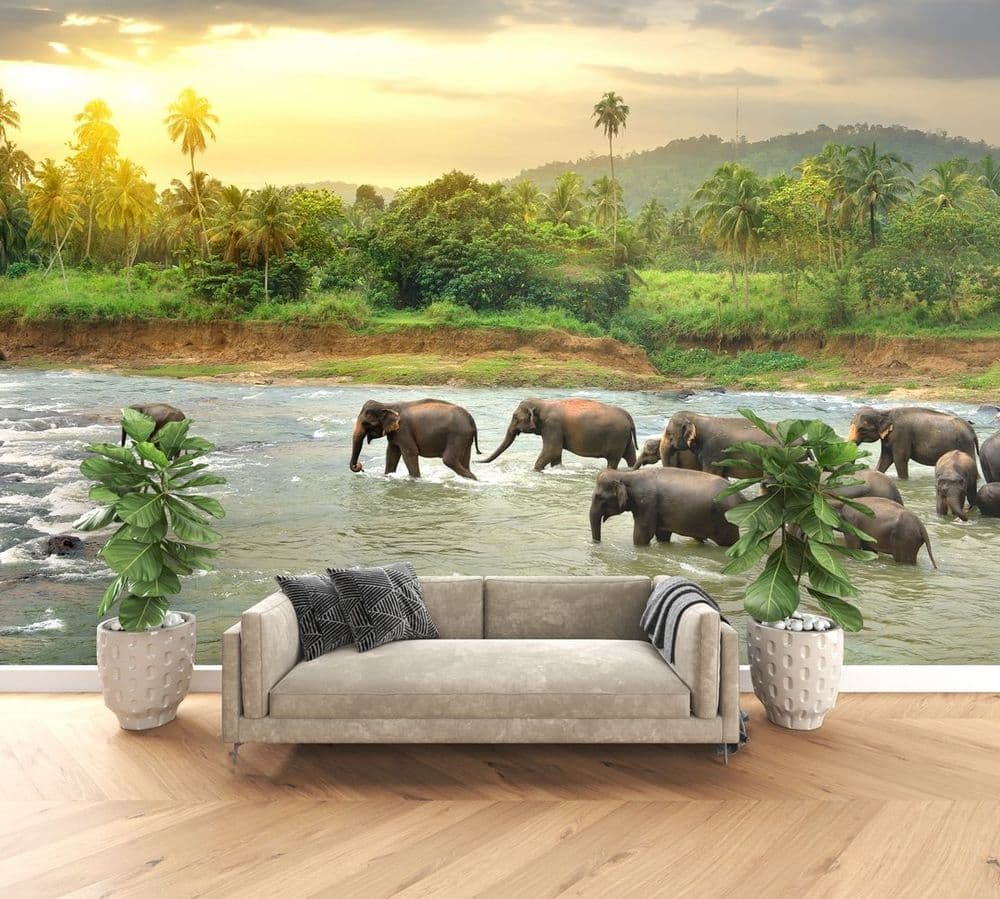 African River Wildlife view 1