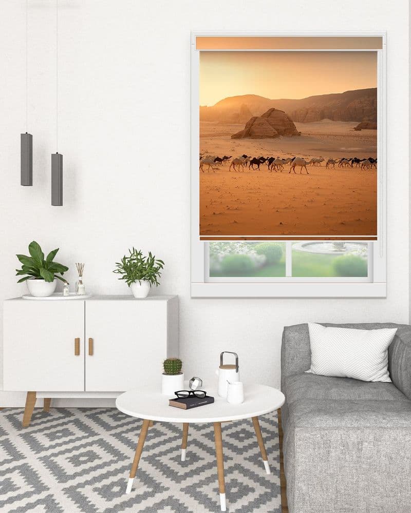 Desert Caravan view 1