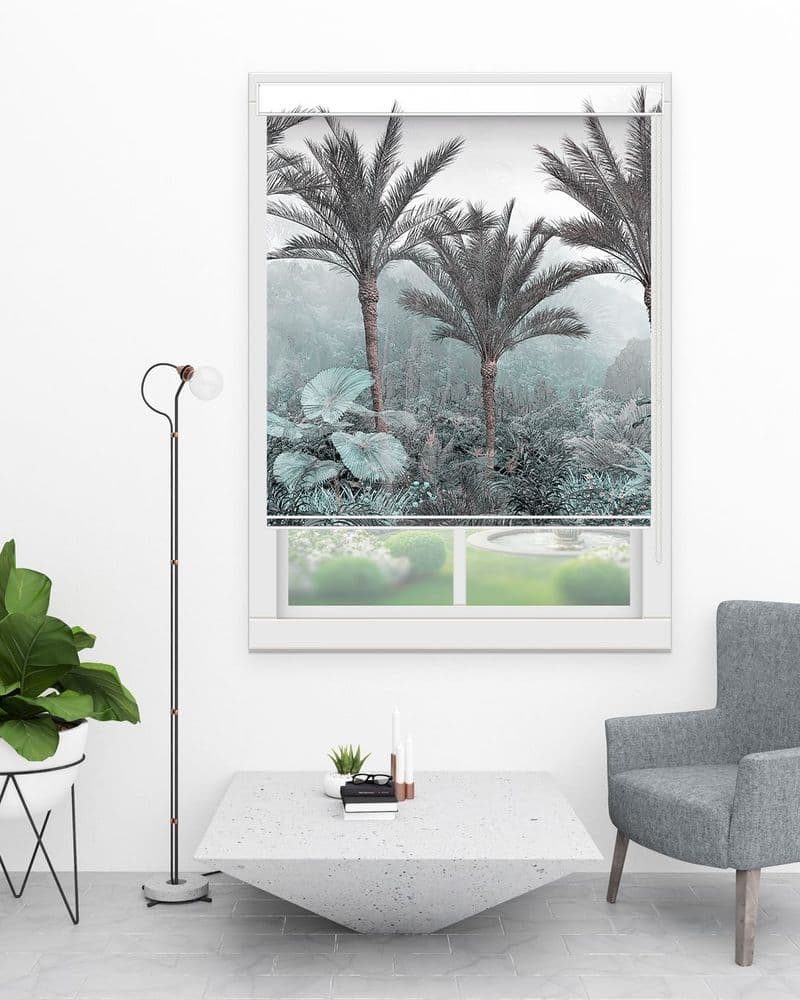 Foggy Palm Forest view 1