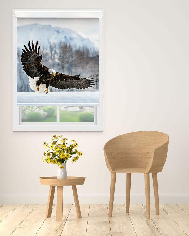 Eagle in Flight view 1