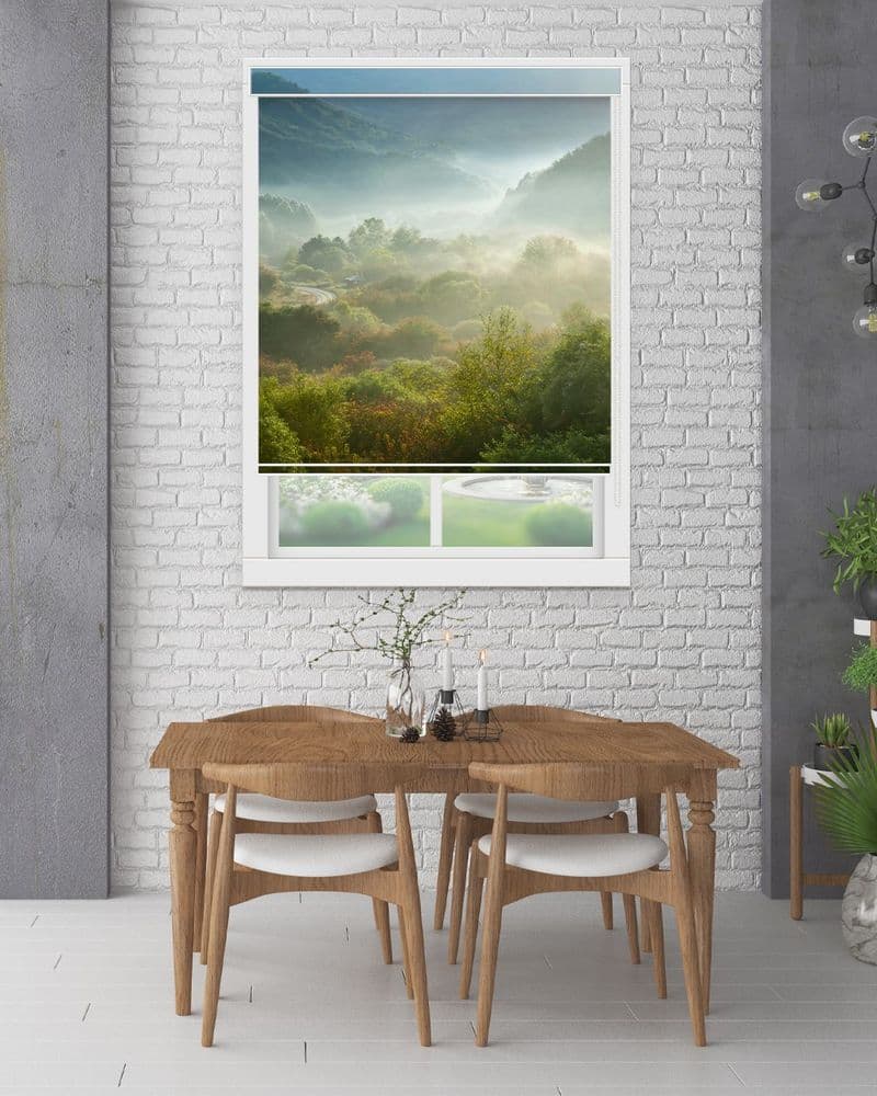 Misty Mountain Forests view 1