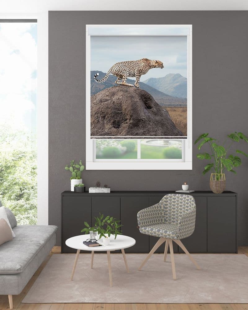 Leopard Rock Perch view 1