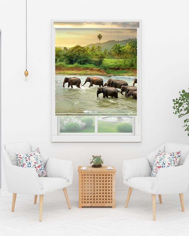 Savanna Waterhole view 1