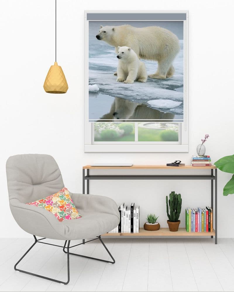 Polar Bear Ice view 1
