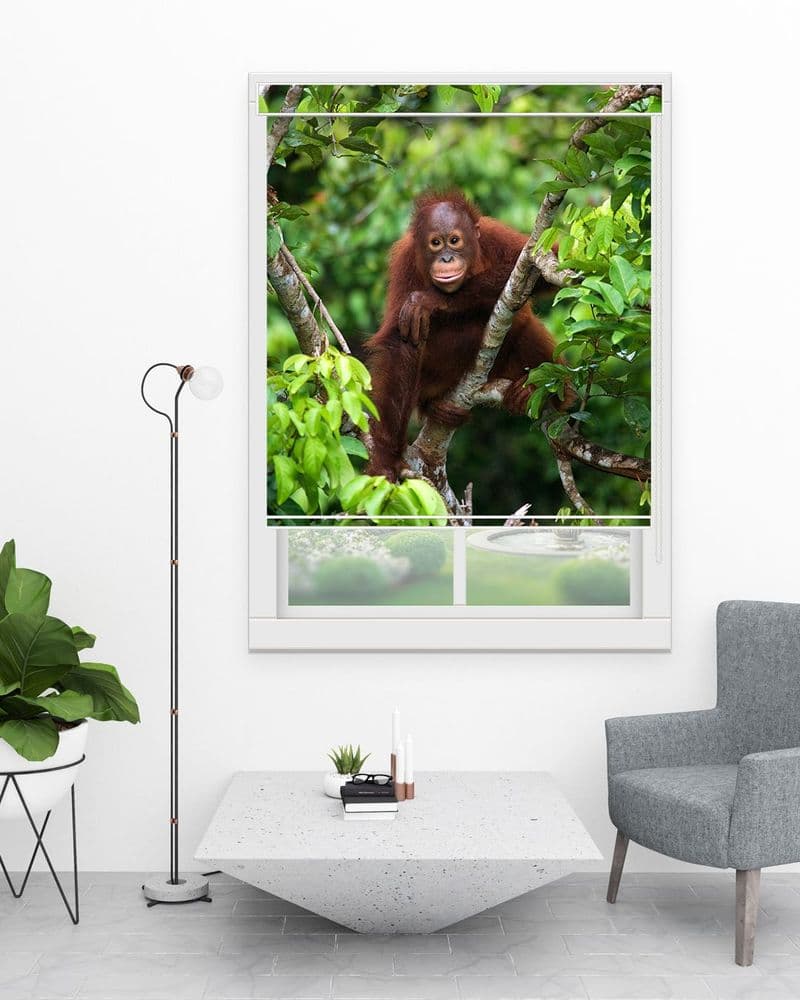 Jungle Orangutan view 1