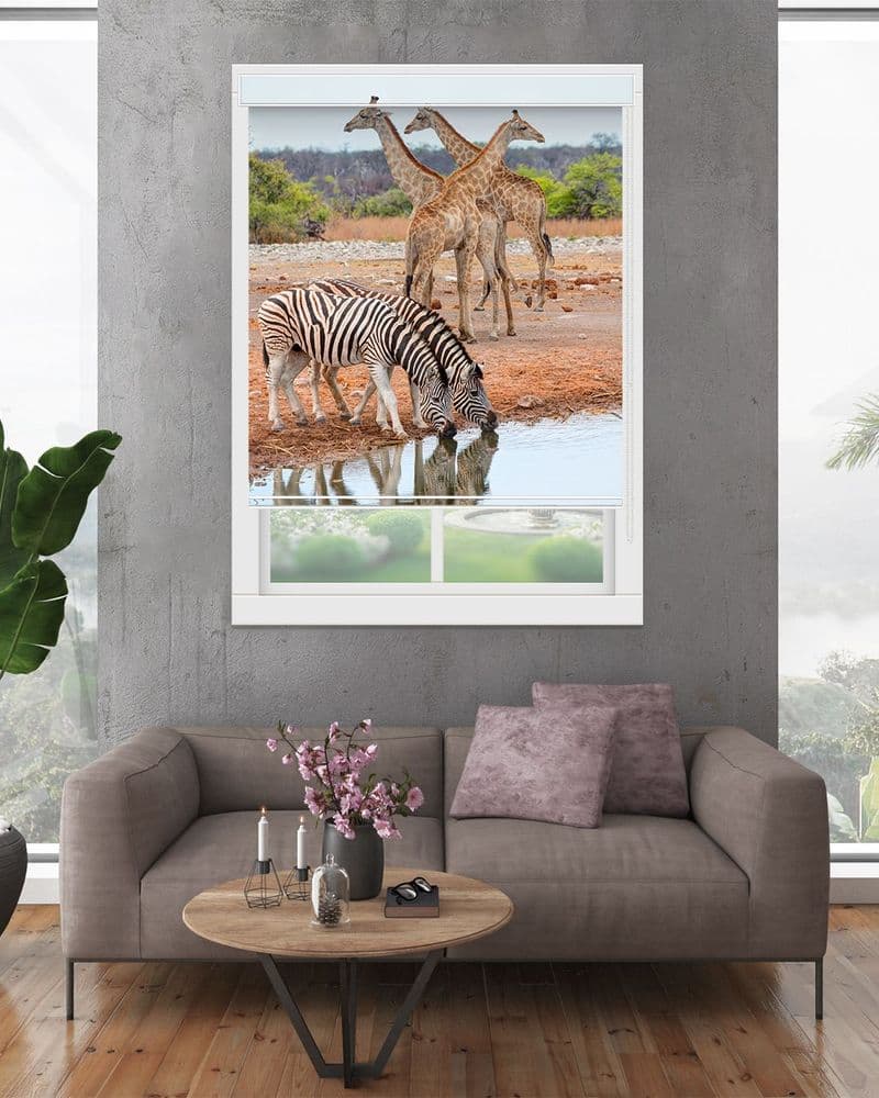 Zebra Giraffe Trail view 1