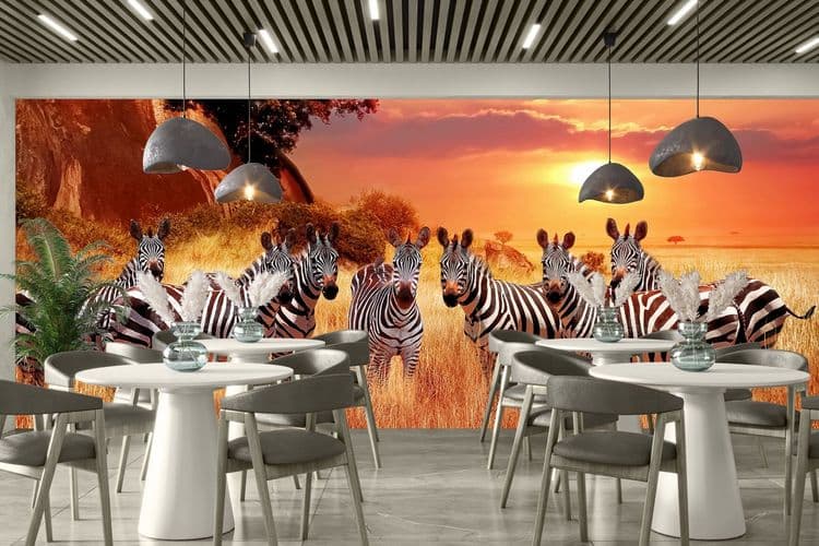 African Safari Sunset