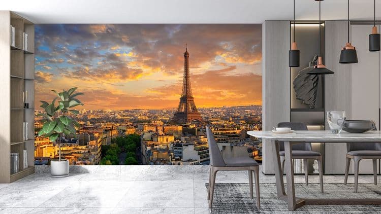 Paris City View