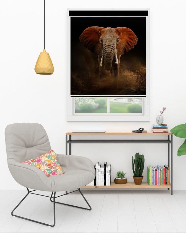 Elephant Portrait
