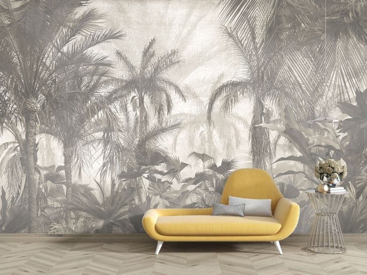Foggy Tropical Forest