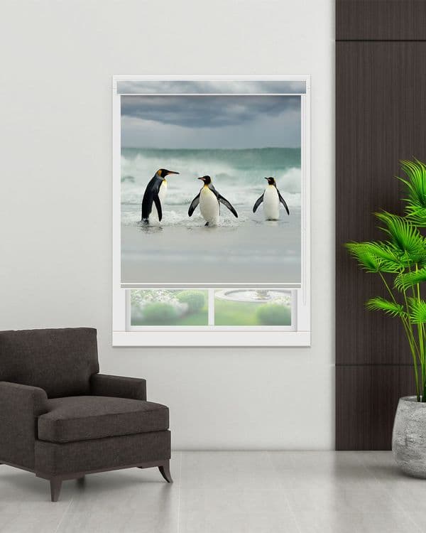Penguin Sea Walk