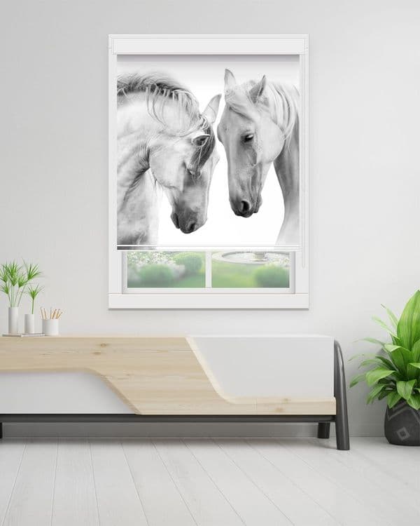 Horse Portrait Duo