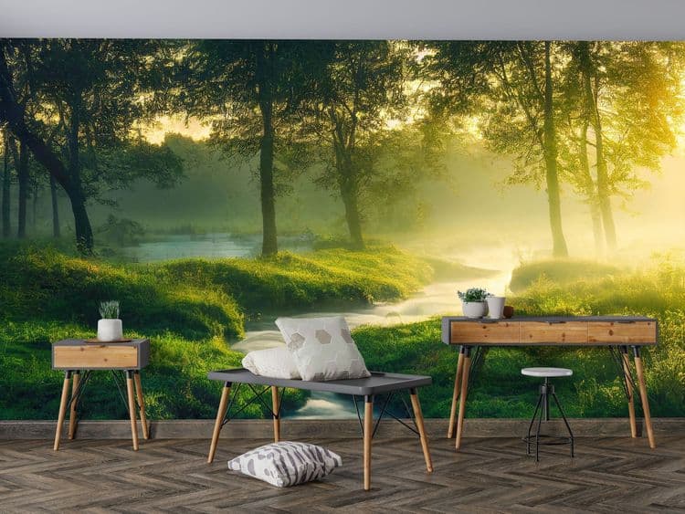 Sunlit Forest