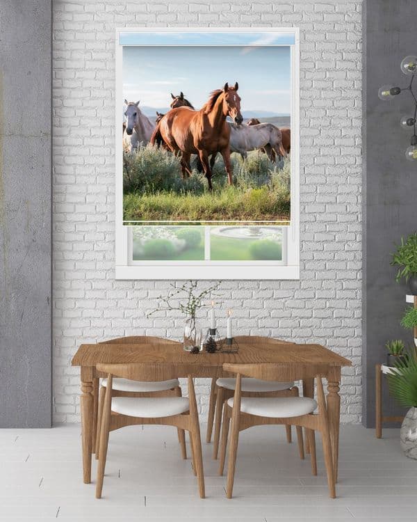 Wild Horse Herd