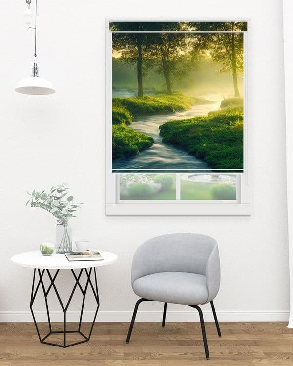 Sunlit Woodland