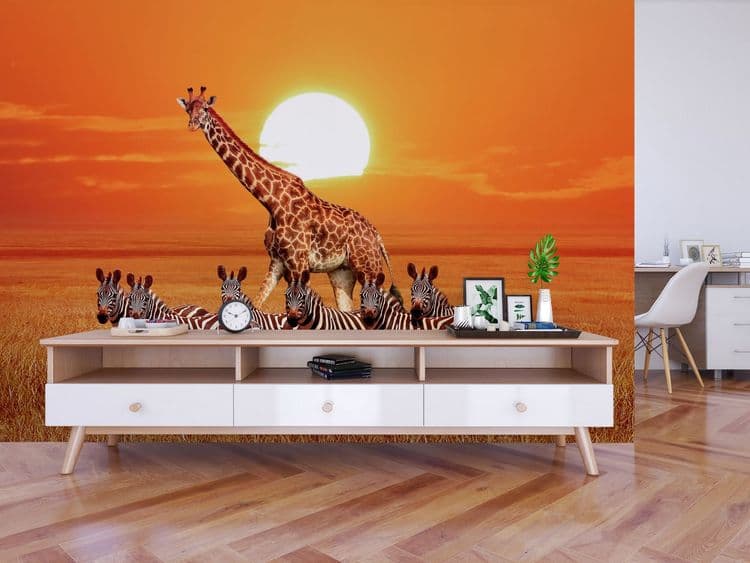 Giraffe Sunset Safari