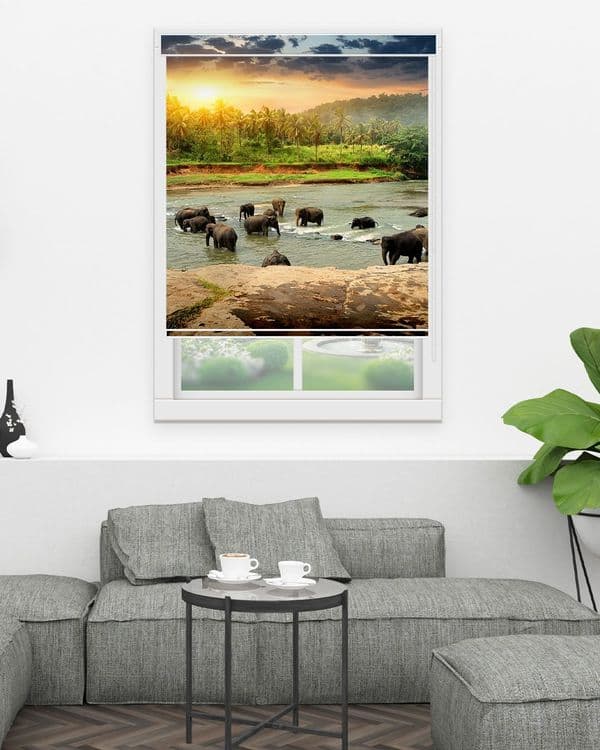 Watering Herd