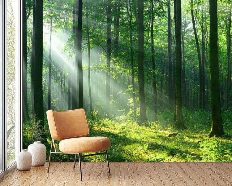 Sunlight Forest