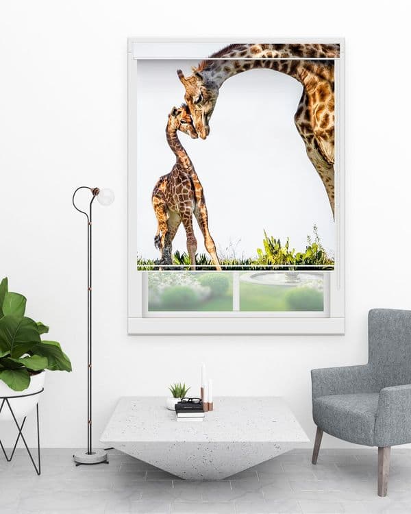 Giraffe Companions