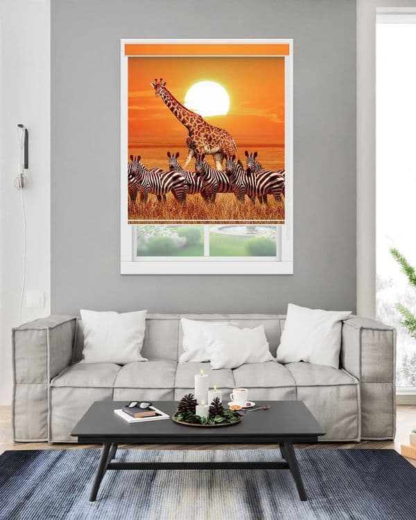 Zebra Sunset Herd
