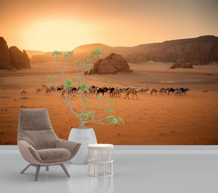 Desert Wildlife