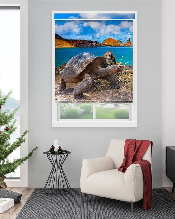 Turtle Island Shore