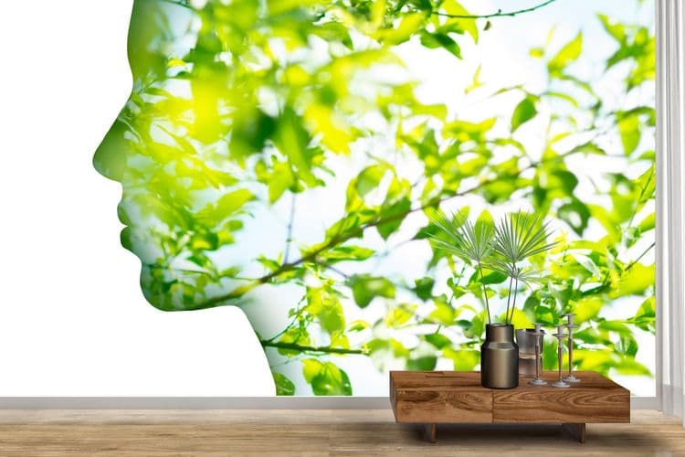 Green Lifestyle and Wellness