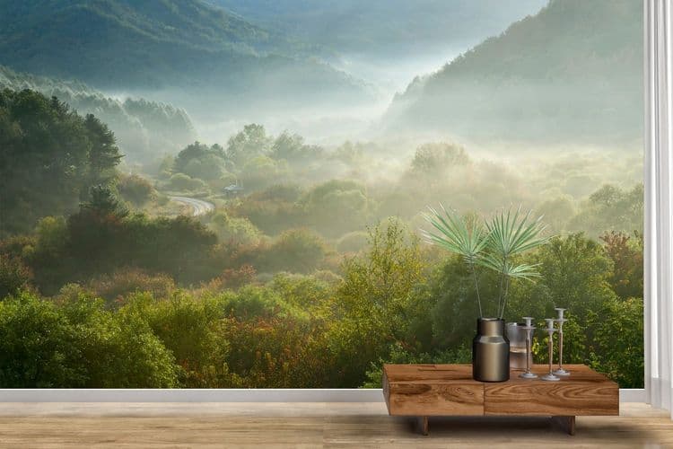Misty Mountain Forest