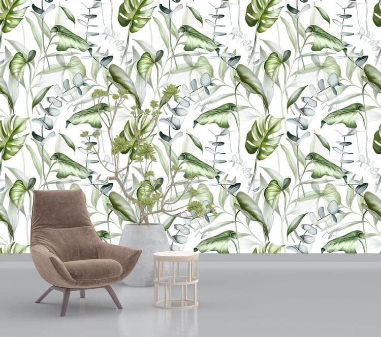 Eucalyptus Tropical