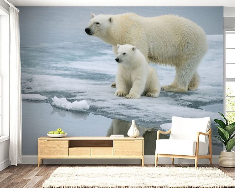 Arctic Ice Bear