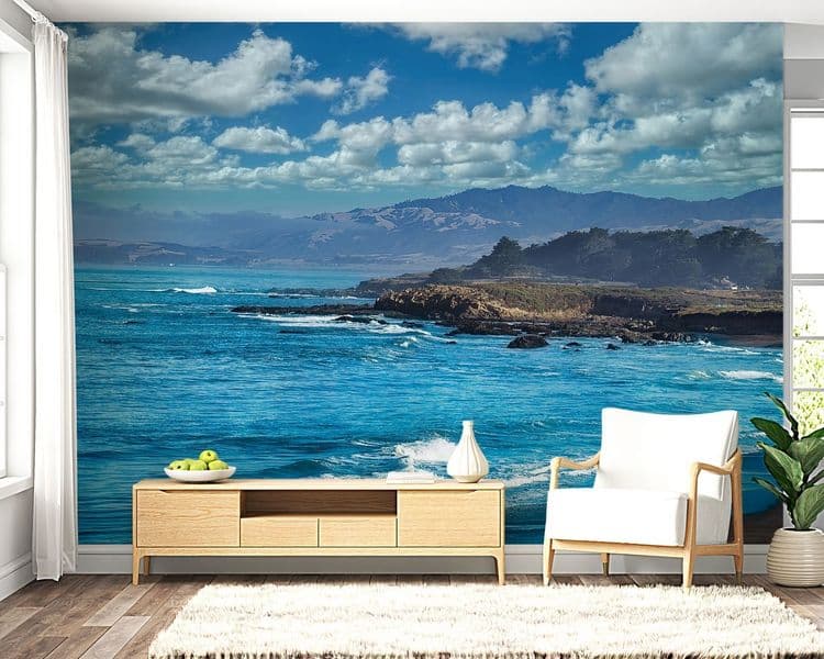 Ocean Cliff View