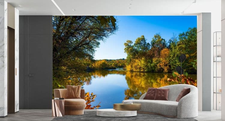 Autumn Forest Lake