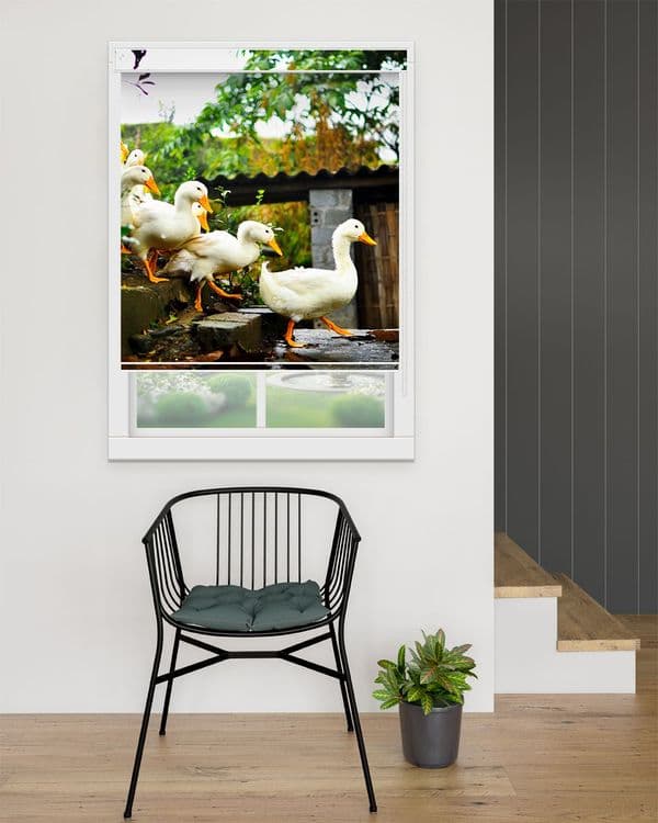 Garden White Geese