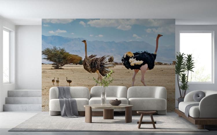 Ostrich Desert Scene
