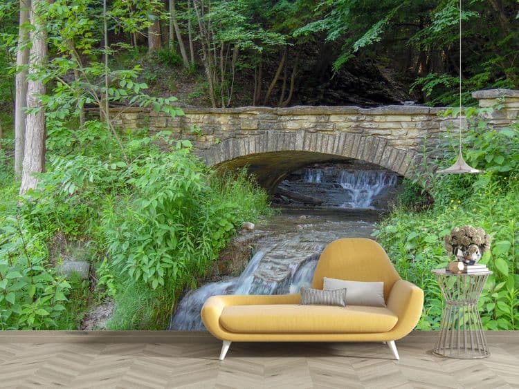 Woodland Waterfall Stream