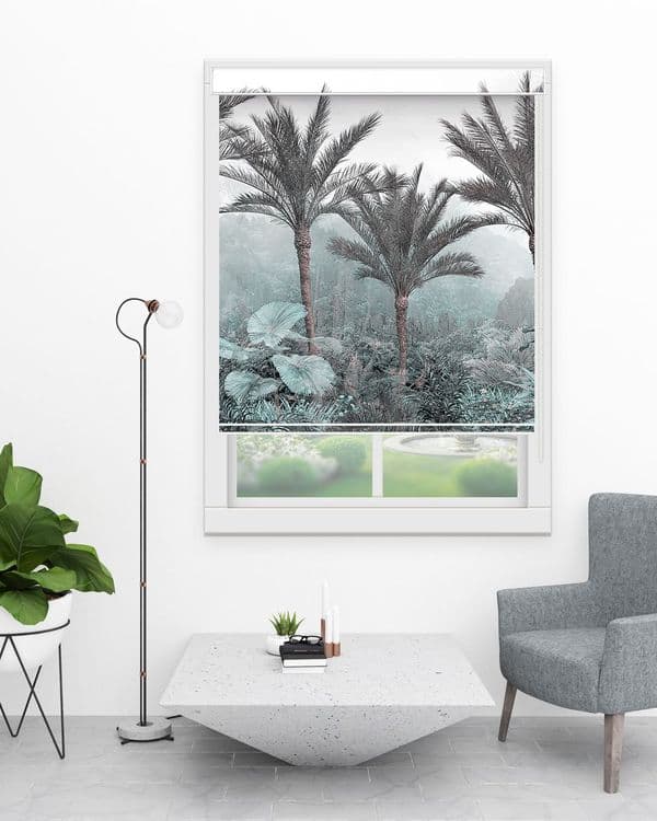 Foggy Palm Forest