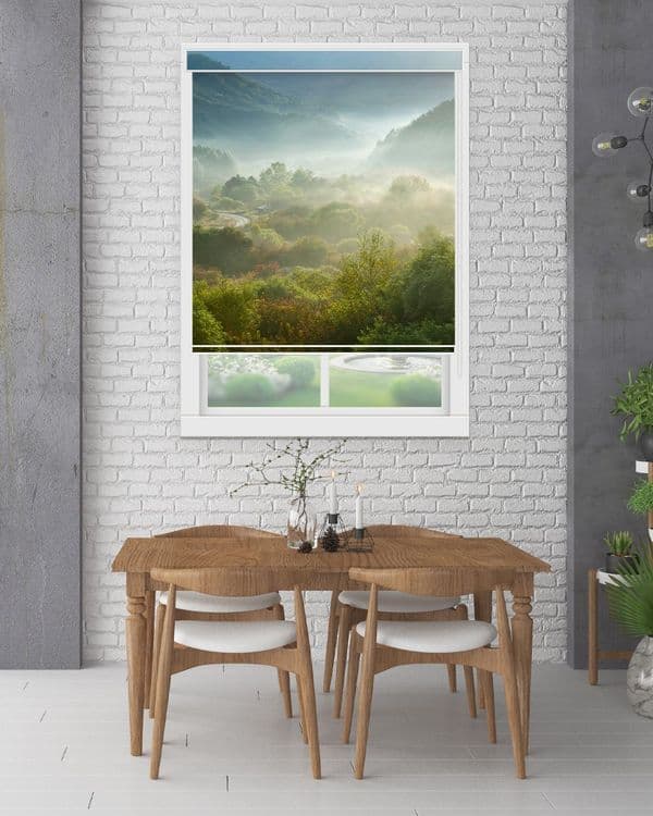 Misty Mountain Forests