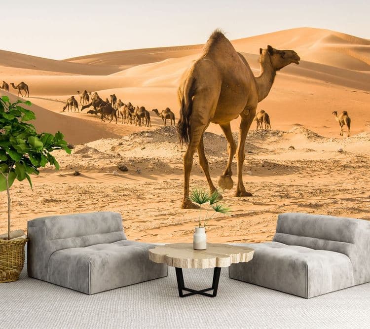 Camel Desert Landscape