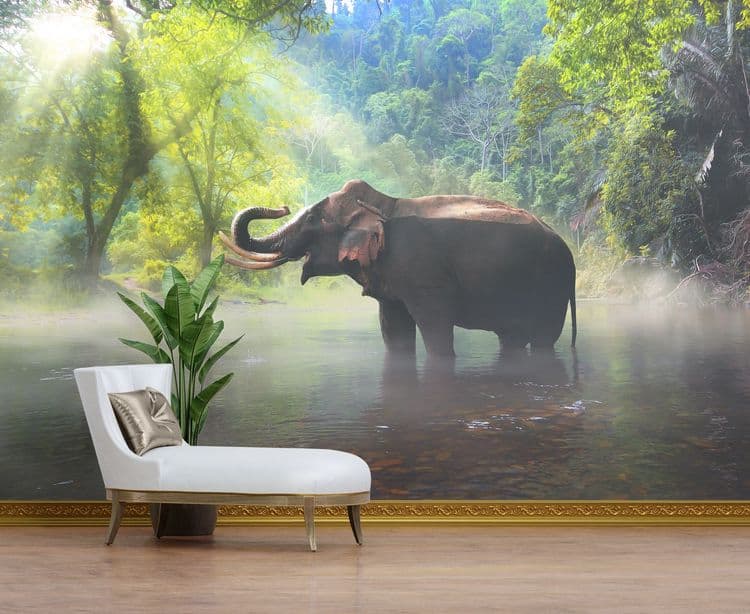 Elephant Rainforest