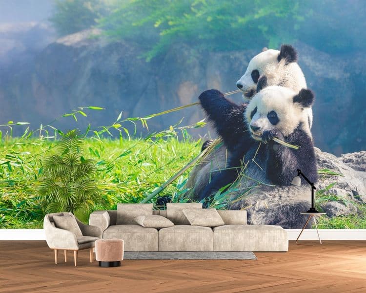 Giant Panda Nature