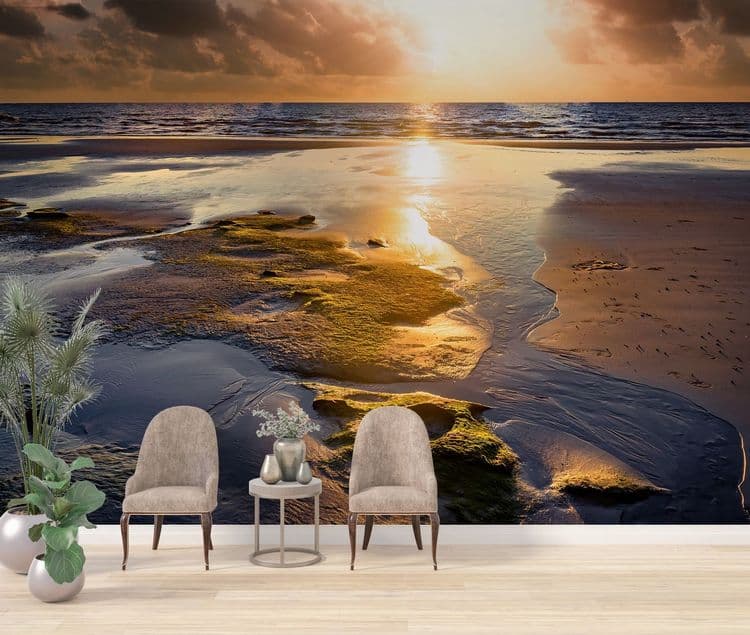 Ocean Sunset Shore