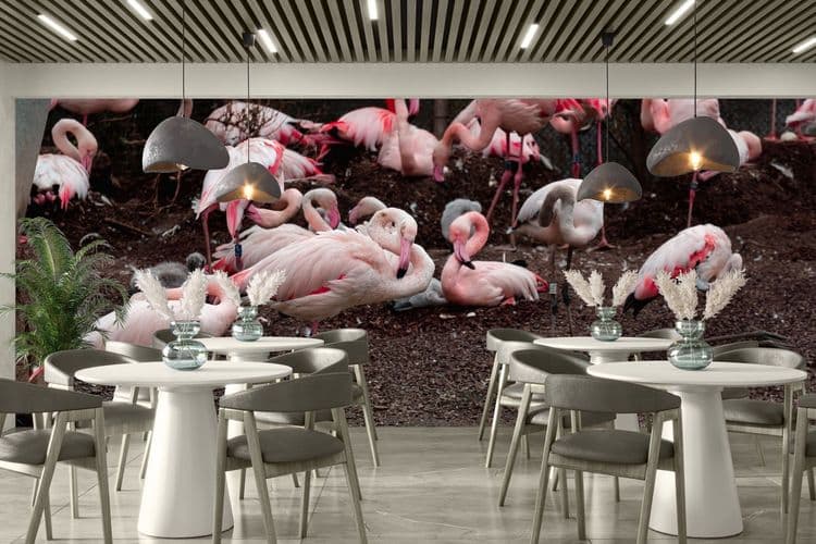 Flamingo Water Scene