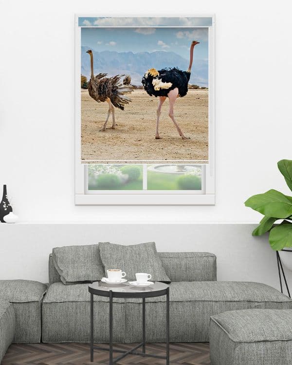 Ostrich Pair