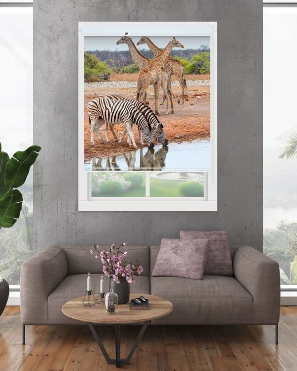 Zebra Giraffe Trail