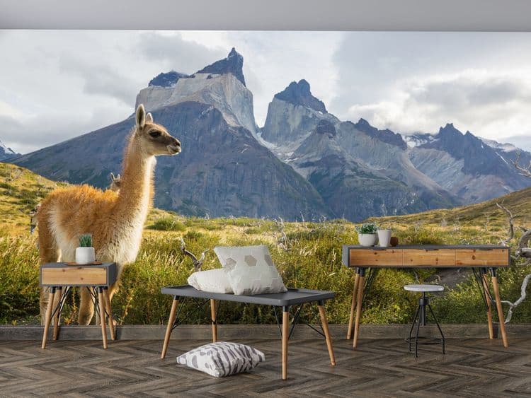 Giraffe Mountain Scene
